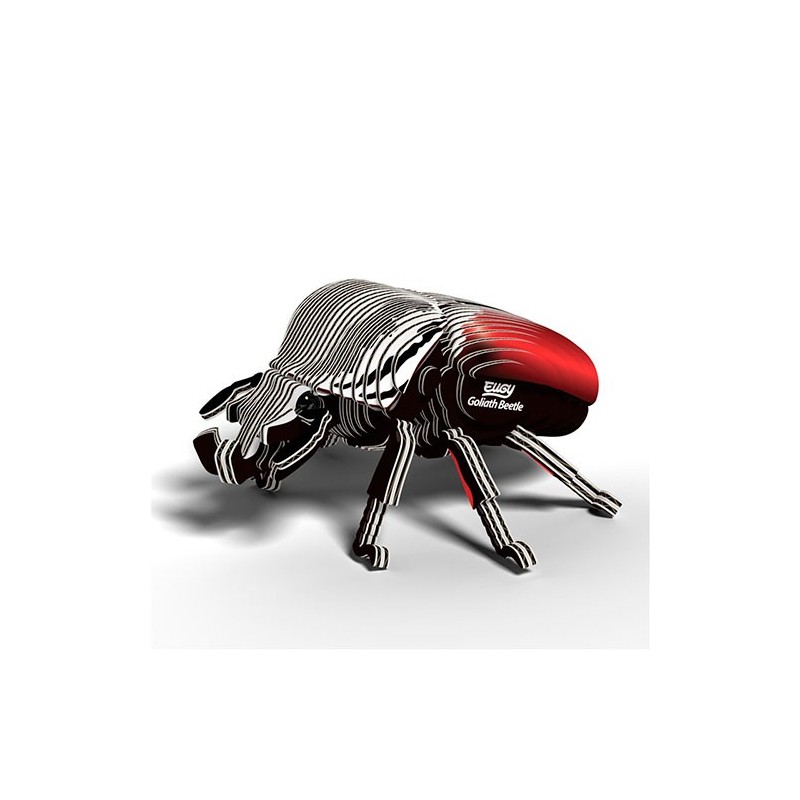 Eugy Goliath Beetle 111