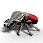 Eugy Goliath Beetle 111