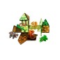 Magna-T Animales Jungla Set 25 piezas.