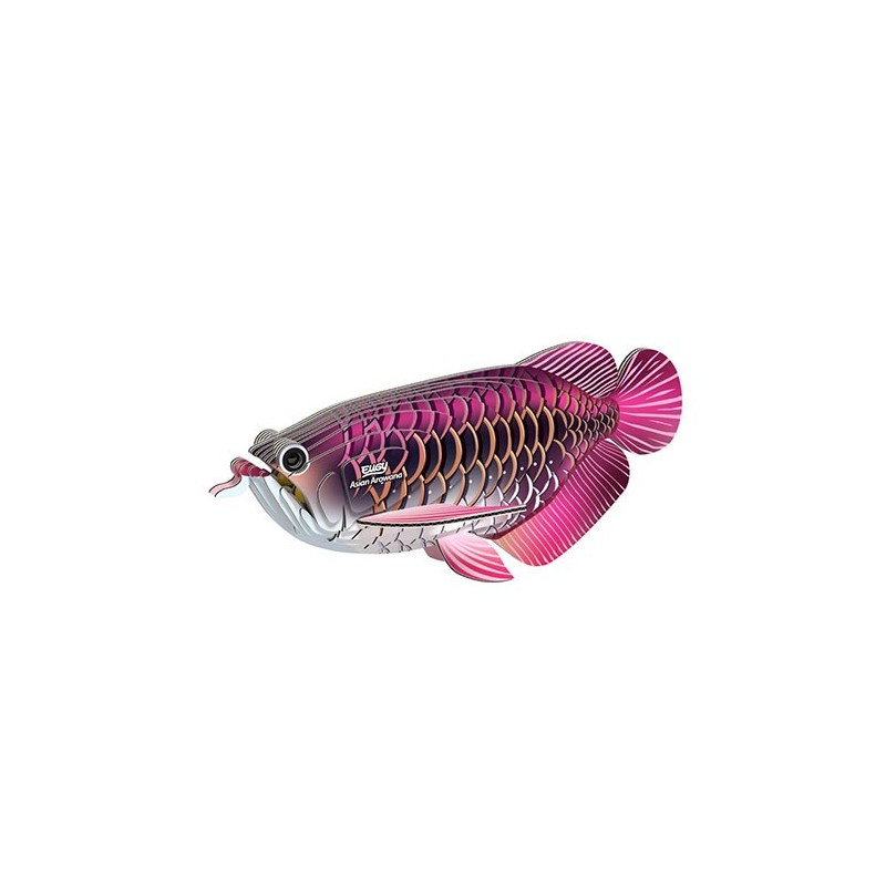 Eugy Asian Arowana Eugy Asian Arowana