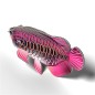 Eugy Asian Arowana Eugy Asian Arowana