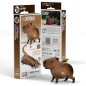 Eugy Capybara Eugy Capybara