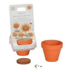 Maceta Planta un Girasol