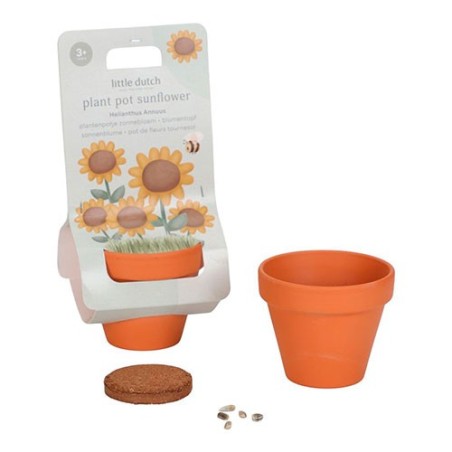 Maceta Planta un Girasol