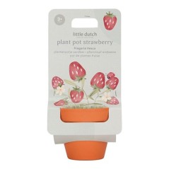 Maceta Planta Fresas de Little Dutch.