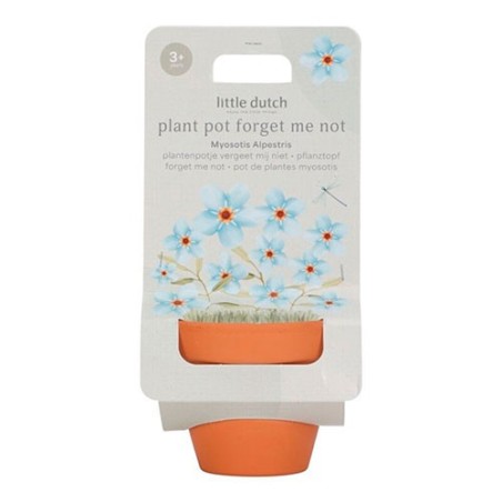 Maceta Planta No me olvides de Little Dutch.
