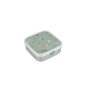Caja Bento Campus Grande Little Farm