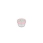 Caja Fruta Campus Fairy Wonders de Little Dutch.