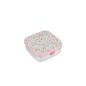 Caja Bento Campus Grande Fairy Wonders