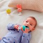 Set de Sonajeros y Mordedores de Silicona Animalitos | Hape Set de Sonajeros y Mordedores de Silicona Animalitos | Hape