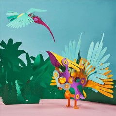 Tropical Birds Clixo