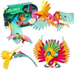 Tropical Birds de Clixo