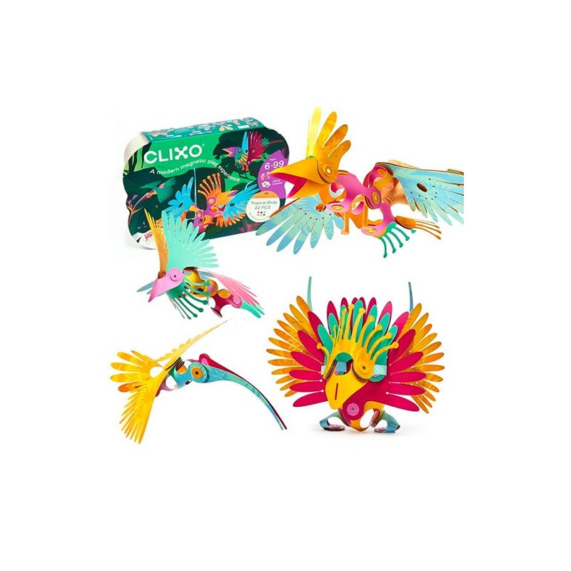 Tropical Birds Clixo