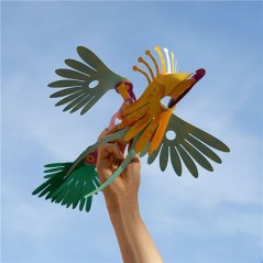 Tropical Birds de Clixo