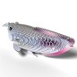 Eugy Silver Arowana 124