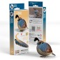 Eugy Quail 129 en lacombainfantil.com