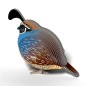 Eugy Quail 129 Eugy Quail 129
