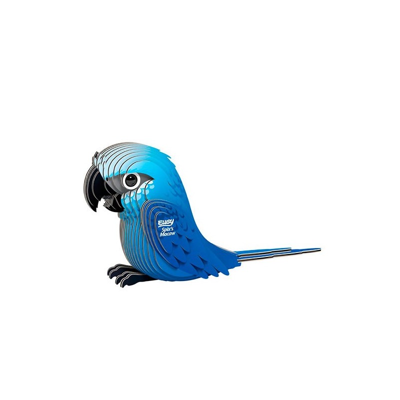 Eugy Spix`s Macaw 123