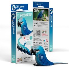 Eugy Spix`s Macaw 123