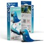 Eugy Spix`s Macaw 123