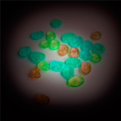 Meteoritos Fosforescentes Moulin Roty - Les Petites Merveilles (Brillan en la oscuridad)