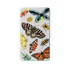 12 Lápices de Colores Multicolor Moulin Roty - Tout autour du monde