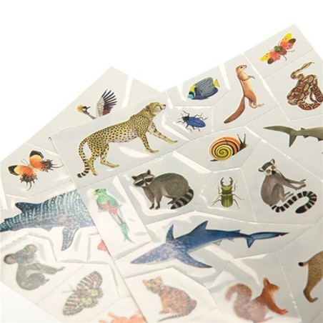 Tatuajes Temporales para Niños Moulin Roty - Tout autour du monde (Animales del Mundo)