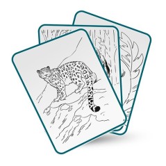 Tableta de Dibujo Kidydraw Pad Animales Kidywolf | La Comba