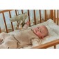 Juguete de Actividades Cocodrilo para Colgar Safari Friends | Little Dutch