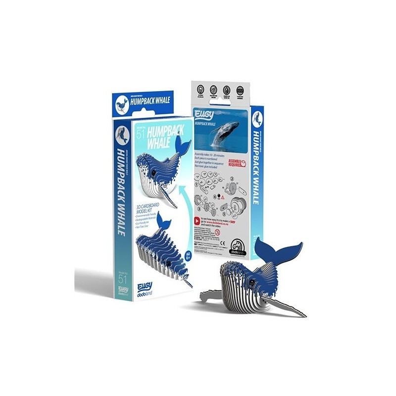 Eugy Humpback Whale -051