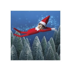 ELF ON THE SHELF