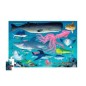 PUZZLE SHARK 50 PZAS. + 4 AÑOS