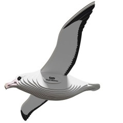 Eugy Royal Albatross 097