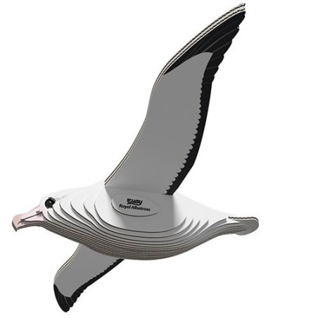 Eugy Royal Albatross 097