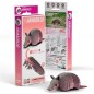 Eugy Armadillo-095