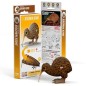 Eugy Brown Kiwi Eugy Brown Kiwi